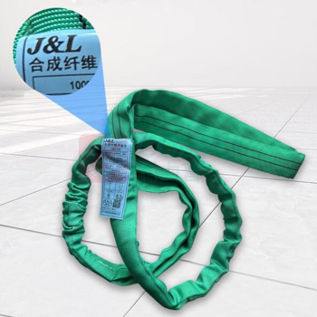 巨力索具 合成纤维圆形吊装带 R01-1T*4M 1T 4m (紫色)