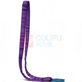 巨力索具 环形吊带 R01-1T*1M
