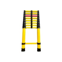联宾 伸缩鱼竿梯 LB-T-10 长1.32m伸高5m节数10承重150kg壁厚2.5mm