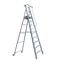 登月 DENGYUE 平台梯 9踏步 DYHNLPT-9 150kg 3700*970*260mm 铝合金 (银色)