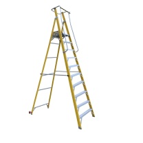 登月 DENGYUE 平台梯 10踏步 DYHNJPT-10 150kg 4000*1000*260mm 玻璃钢 (银色)
