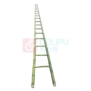 容泰 竹梯 RT-ZT1018 17横 5.5米