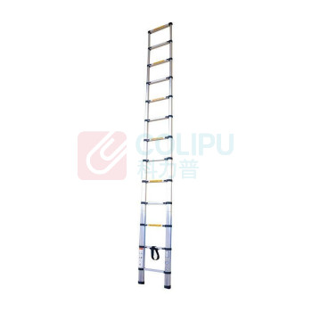 登月 DENGYUE 铝合金竹节单梯 DYZSJ-49 4.9m (银色)