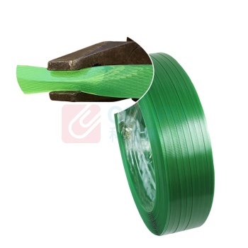罗德力 塑钢打包带 宽16mm*厚0.8mm 20kg(约1300米) (绿色)