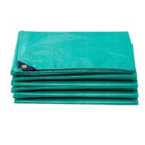 智探政物 防雨布篷布 20米*30米 PE塑料布防水防晒油布