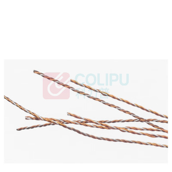 安赛瑞 定制一次性铅封 2A00790 15*11.5mm 线长约12cm定制印刷 (黄色) 100个