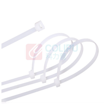上柯 国标尼龙扎带白色 W0837 3mm*100mm(1000根*10包) (白色)