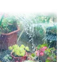 雪花 snow 塑料布 30KG/卷