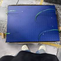 质展测控Zhizhan Measurement&Control 超低引坡平台称 PSQ1010-500kg (含仪表控制器)