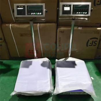 升亮 电子打印台秤 TCS-B19P-30kg/1g 台面30*40