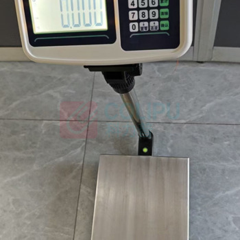 友声 电子秤 YS150-50 150kg 50g 不含三方检测报告