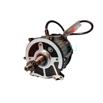 逐月 三轮车电机 60V 800W