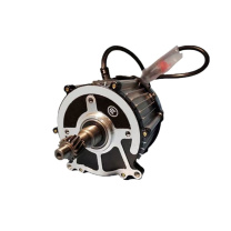 逐月 三轮车电机 60V 800W