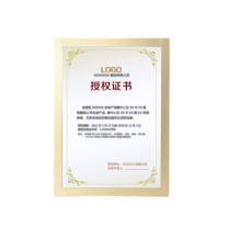 安赛瑞 磁性展示贴 2E00131 A3内径42*29.7cm 金色(横竖通用)1个装
