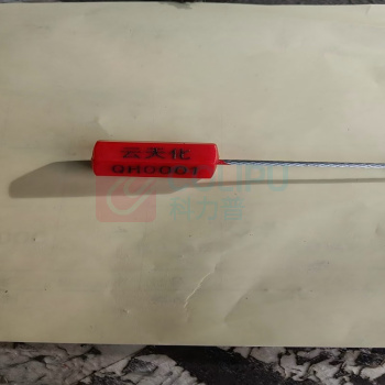 晶事达 塑料铅封锁 30公分 需要印字和数字