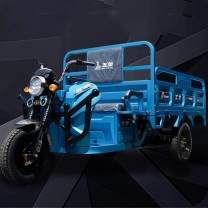 五羊 电动三轮车 HTS 1200 电瓶60V20A