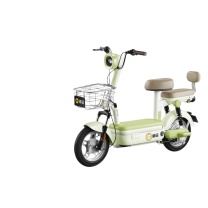 新日 电动自行车 宇露48V (竹竹绿)