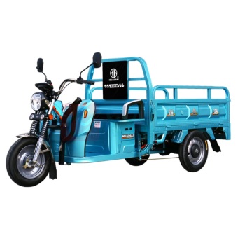 淮海 电动三轮车 海啸150 畅致版 60V 45AH铅酸电池 载重拉货家用电瓶车农用车