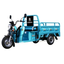 淮海 电动三轮车 海啸150 畅致版 60V 45AH铅酸电池 载重拉货家用电瓶车农用车