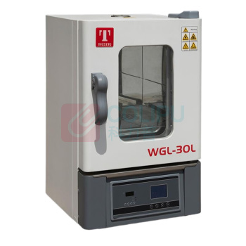 泰斯特 电热鼓风干燥箱 WGL-230T