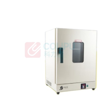 精宏 电热恒温鼓风干燥箱 DHG-9246A 2600W
