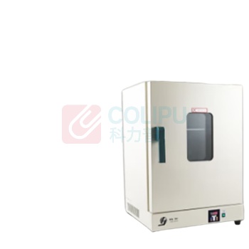 精宏 电热恒温鼓风干燥箱 DHG-9246A 2600W