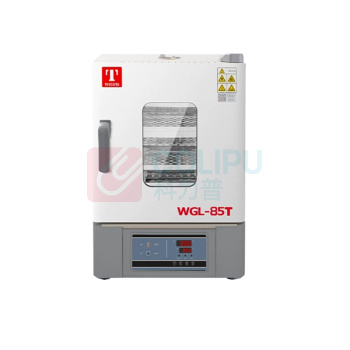 泰斯特 立式大容量鼓风恒温干燥箱 WGL-85T