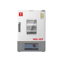 泰斯特 立式大容量鼓风恒温干燥箱 WGL-85T