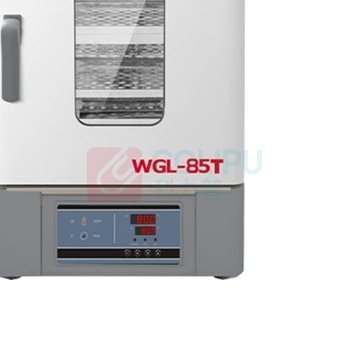 泰斯特 立式大容量鼓风恒温干燥箱 WGL-85T