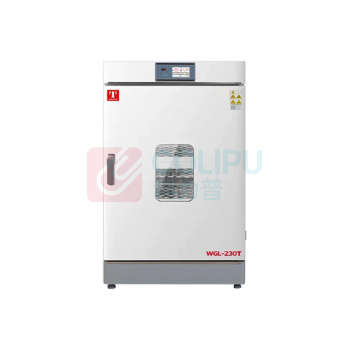 泰斯特 立式大容量鼓风恒温干燥箱 WGL-230T