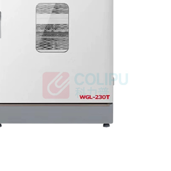 泰斯特 立式大容量鼓风恒温干燥箱 WGL-230T