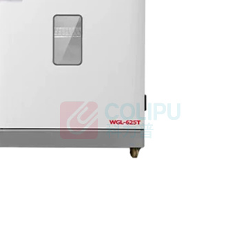 泰斯特 立式大容量鼓风恒温干燥箱 WGL-625T