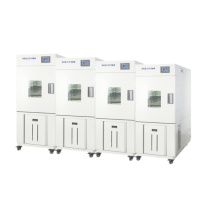 耐默特 数显立式高低温湿热试验箱 NT63-401-506 -60~130℃