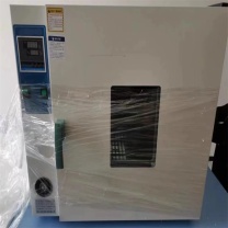 博林豪特 干燥热风箱 DHG-9078A 