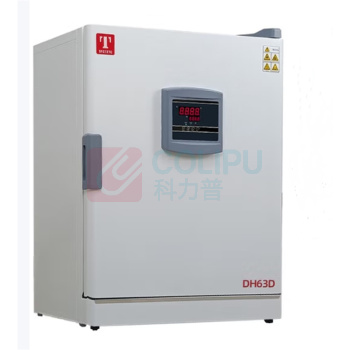 泰斯特 恒温培养箱干燥箱 DH63D SDDH315