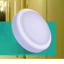 飞利浦 PHILIPS 墙壁灯 LED-220V-15W 椭圆形、尺寸：21.4*11.2*6.5CM 