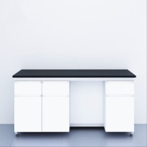 弗莱仕 实验边台 DRD-GBT01 L5100×B750×H750mm 不锈钢 配插座