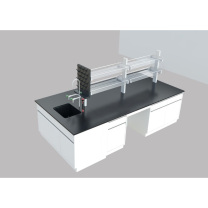 弗莱仕 实验室工作台 FLS-中央台+水槽3m +水龙头+试剂架+洗眼器+滴水架+安装