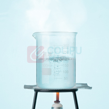 湘玻 低型玻璃烧杯 100008559981 50ml