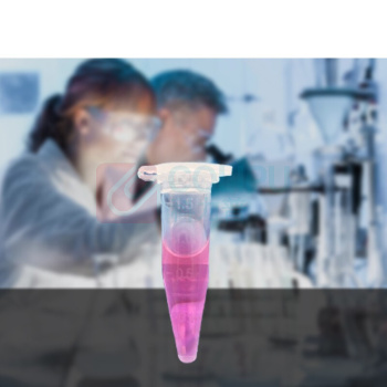 安赛瑞 一次性连盖离心管 600175 PP 0.5ml 1000支装