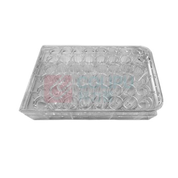 安赛瑞 培养板 6A00922 塑料 48孔 1个 (透明)