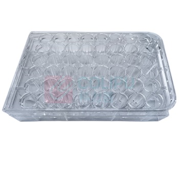 安赛瑞 培养板 6A00922 塑料 48孔 1个 (透明)