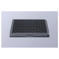 单色科技 阵列微孔板 15um-30um 300-400孔/pcs