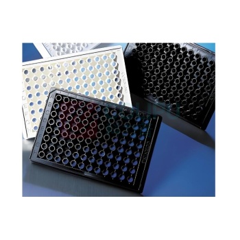 单色科技 阵列微孔板 15um-30um 300-400孔/pcs