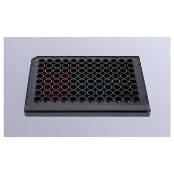 单色科技 阵列微孔板 15um-30um 300-400孔/pcs