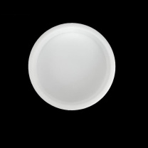 安赛瑞 培养皿 6A00167 材质:聚四氟乙烯 规格:70mm