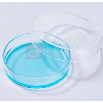 湘玻 玻璃培养皿 120403009 90mm(独立彩盒装) 50根/盒 1200根/箱-100个起订