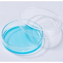 湘玻 玻璃培养皿 120403009 90mm(独立彩盒装) 50根/盒 1200根/箱-100个起订