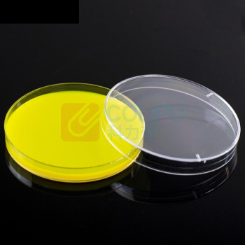 海斯迪克 HYSTIC 一次性塑料培养皿 圆形灭菌培养皿 HKLY-6 100010675007 90mm(20个)