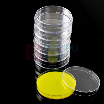 海斯迪克 HYSTIC 一次性塑料培养皿 圆形灭菌培养皿 HKLY-6 100010675007 90mm(20个)